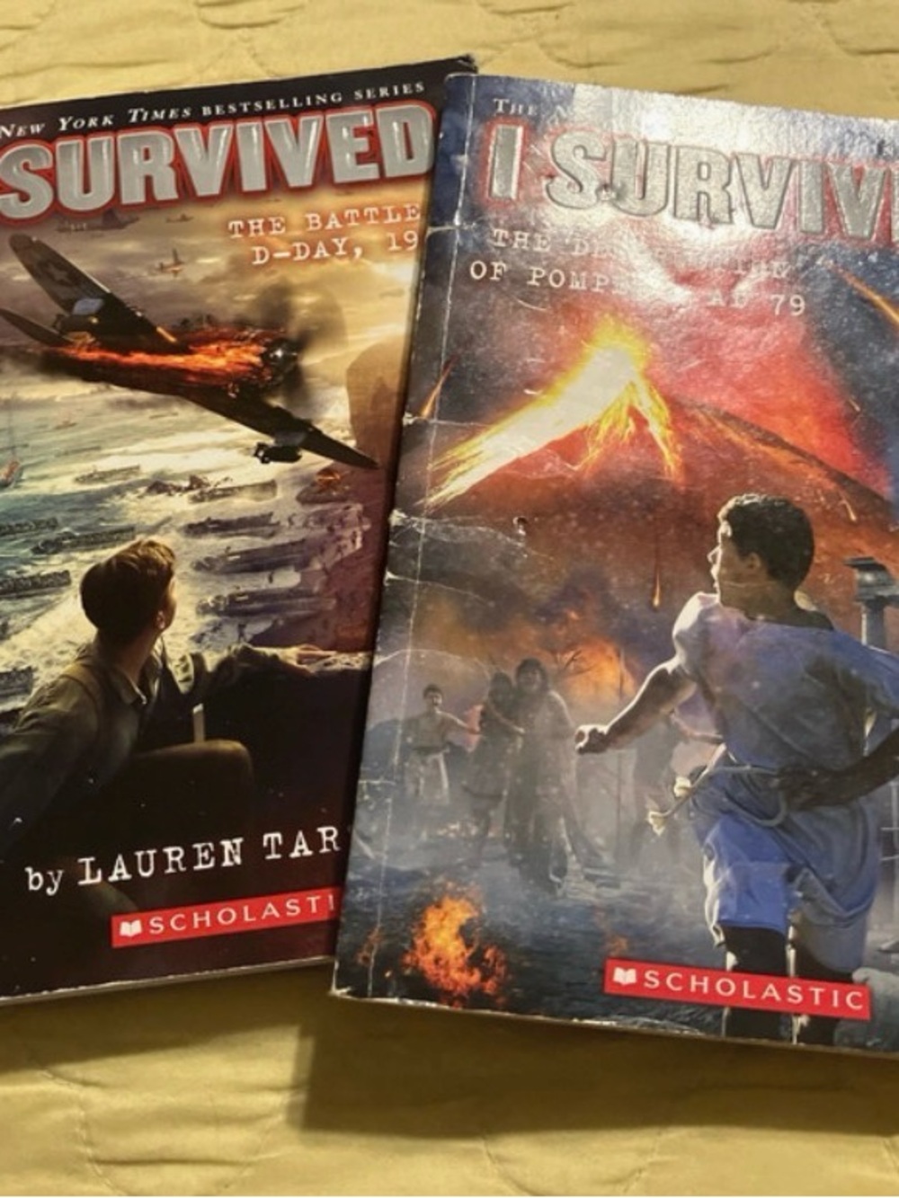 Scholastic I Survived Back Cover - Yellow, Blue, Red Accents